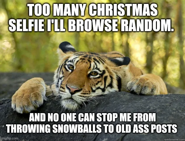 A tiger lying on a rock with a bored or unimpressed expression, overlaid with white text that reads 'TOO MANY CHRISTMAS…