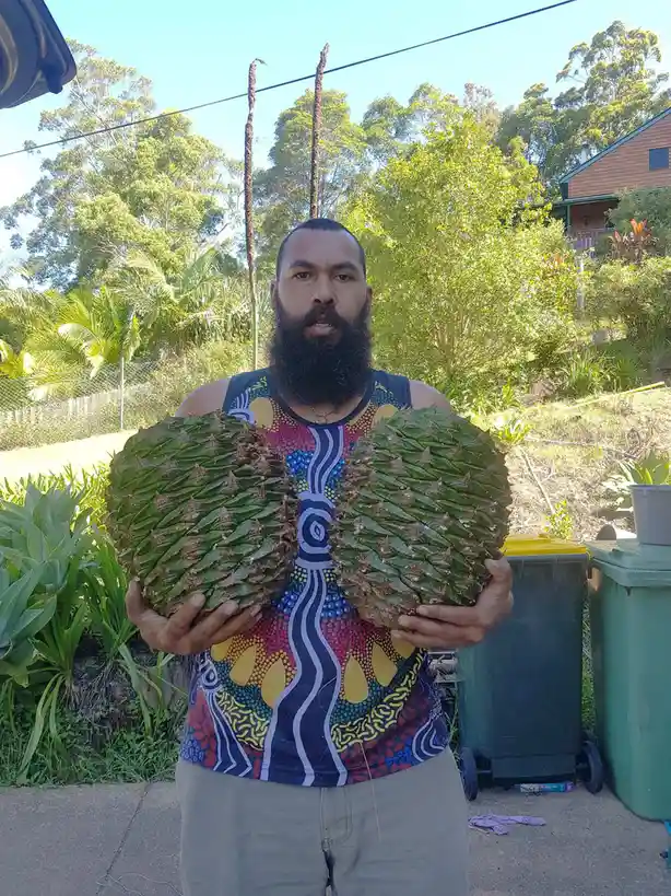 A man with a beard stands outdoors holding two large, spiky pinecones, one in each hand, positioned to resemble breasts. He…