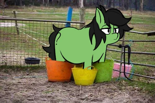 A green cartoon pony with a black mane and tail, drawn in a stylized anime-like manner, is shown standing in a muddy outdoor…