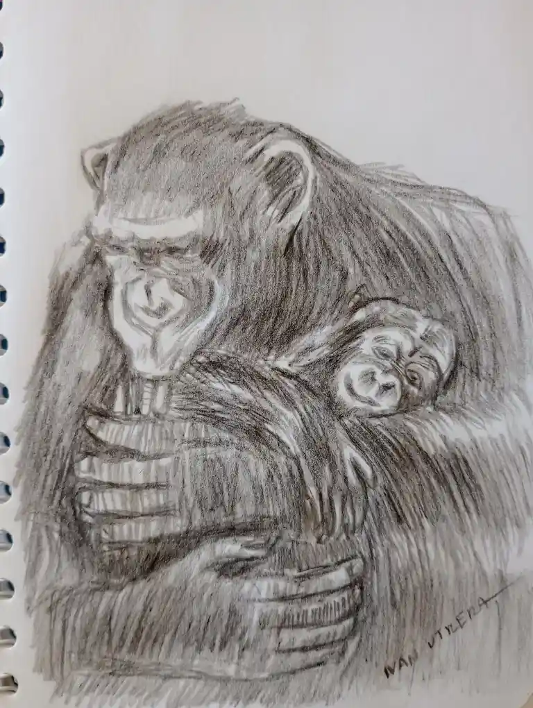A pencil sketch on spiral-bound paper shows a large, menacing-looking ape with a smaller ape clinging to its back. The…