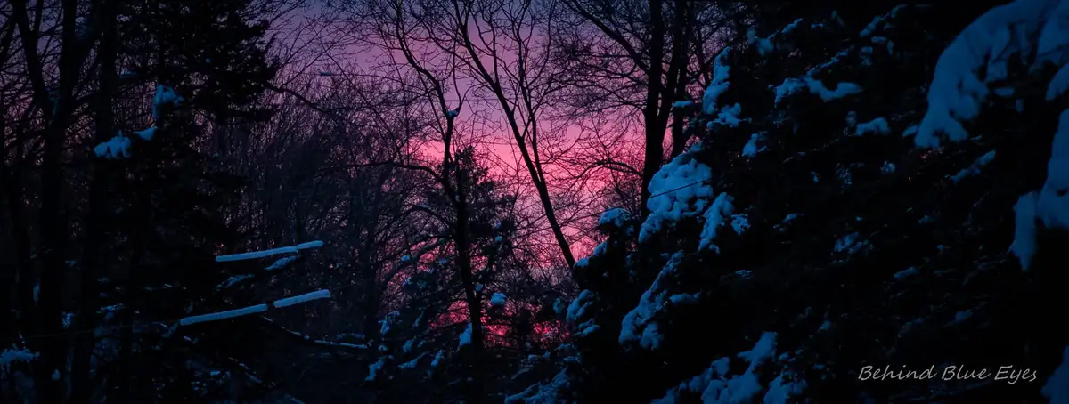 A snowy forest at dusk with bare trees silhouetted against a vibrant pink and purple sky, snow clings to branches and…