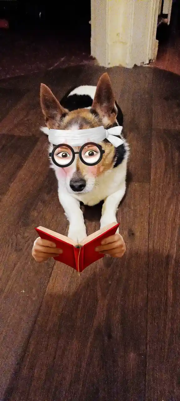 A dog with a white headband and cartoonish round glasses sits on a wooden floor, holding a red book open with human hands…
