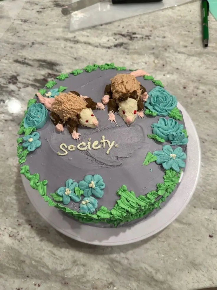 A round cake with gray frosting is decorated with two edible opossum figures made of brown and white icing, surrounded by…