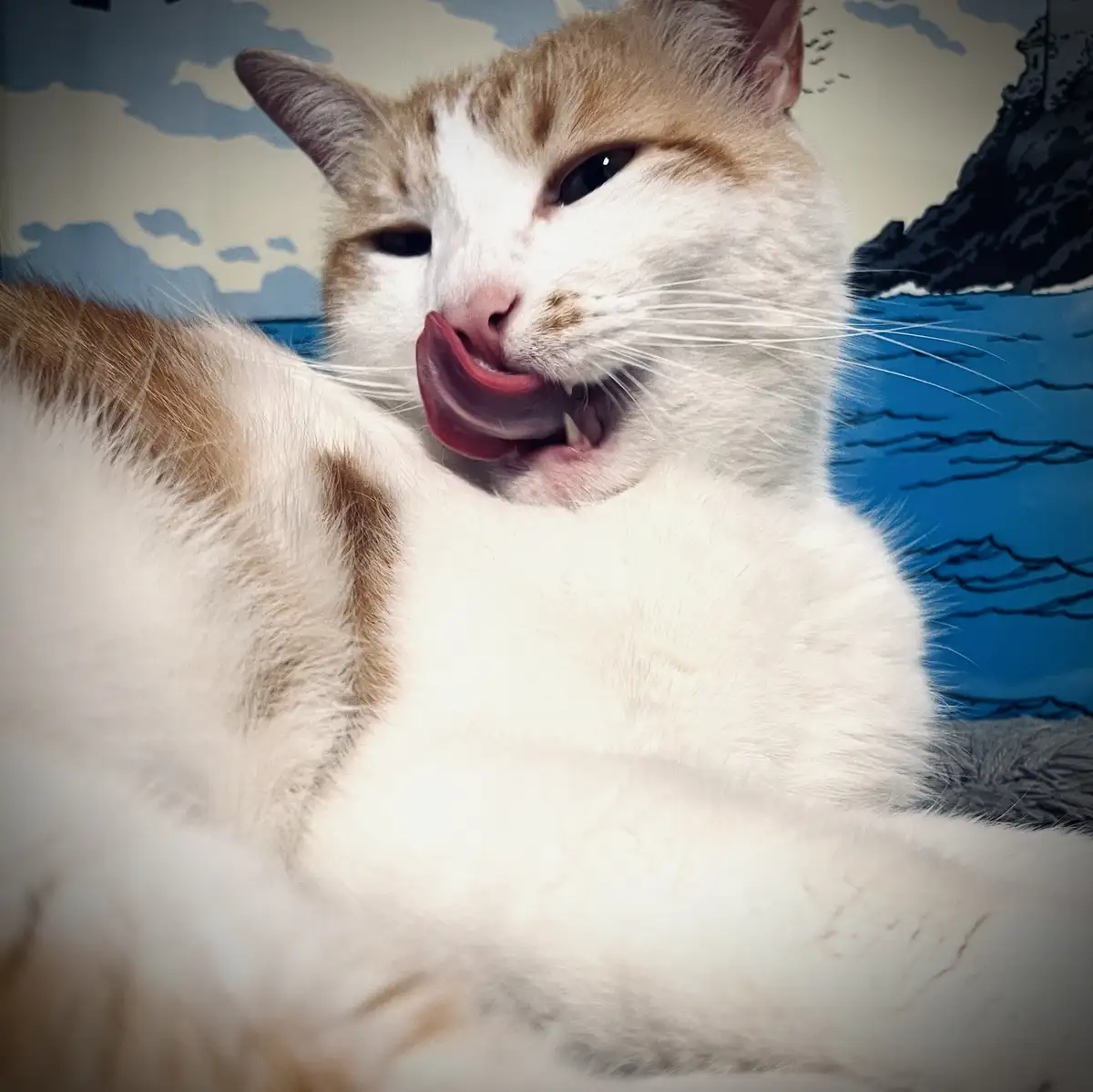A close-up of a white and ginger cat with its tongue sticking out, licking its paw. The background is a stylized…