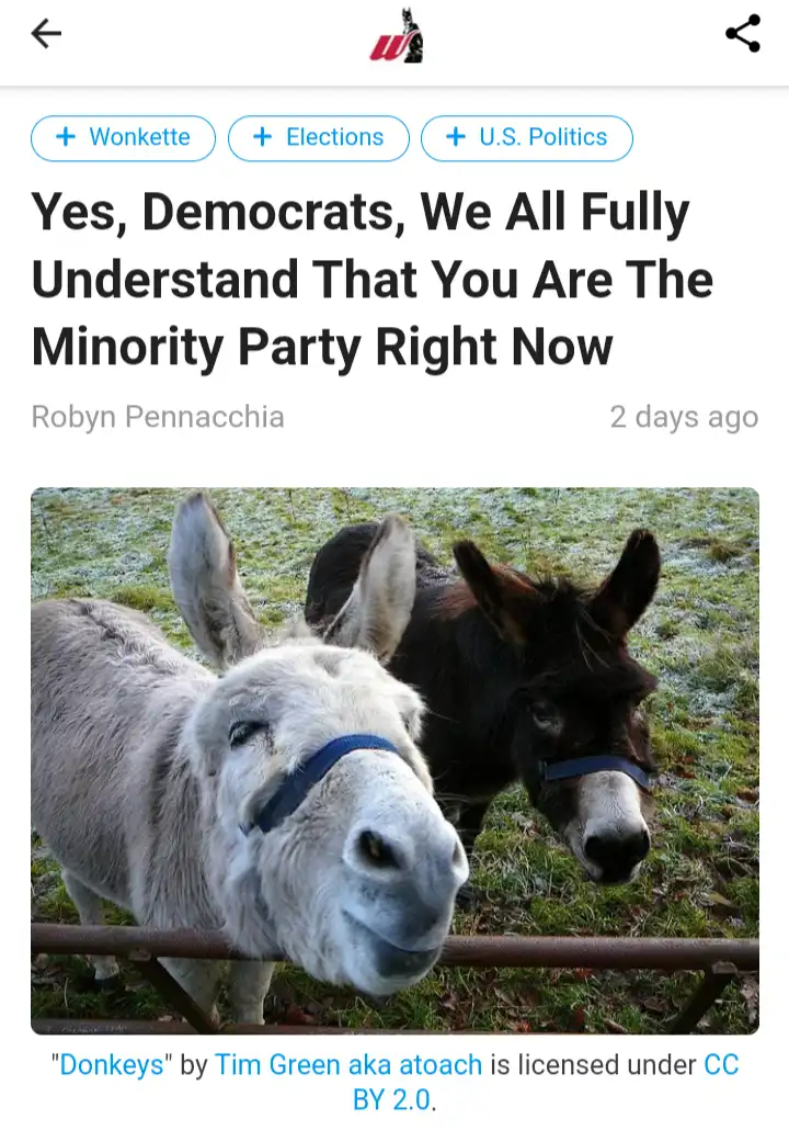 A screenshot of a news article from Wonkette with the headline 'Yes, Democrats, We All Fully Understand That You Are The…