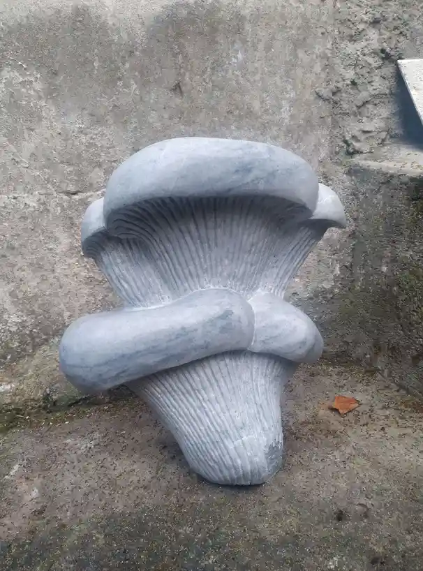 A grey stone sculpture shaped like a large, layered mushroom with detailed gills, standing against a rough concrete wall…
