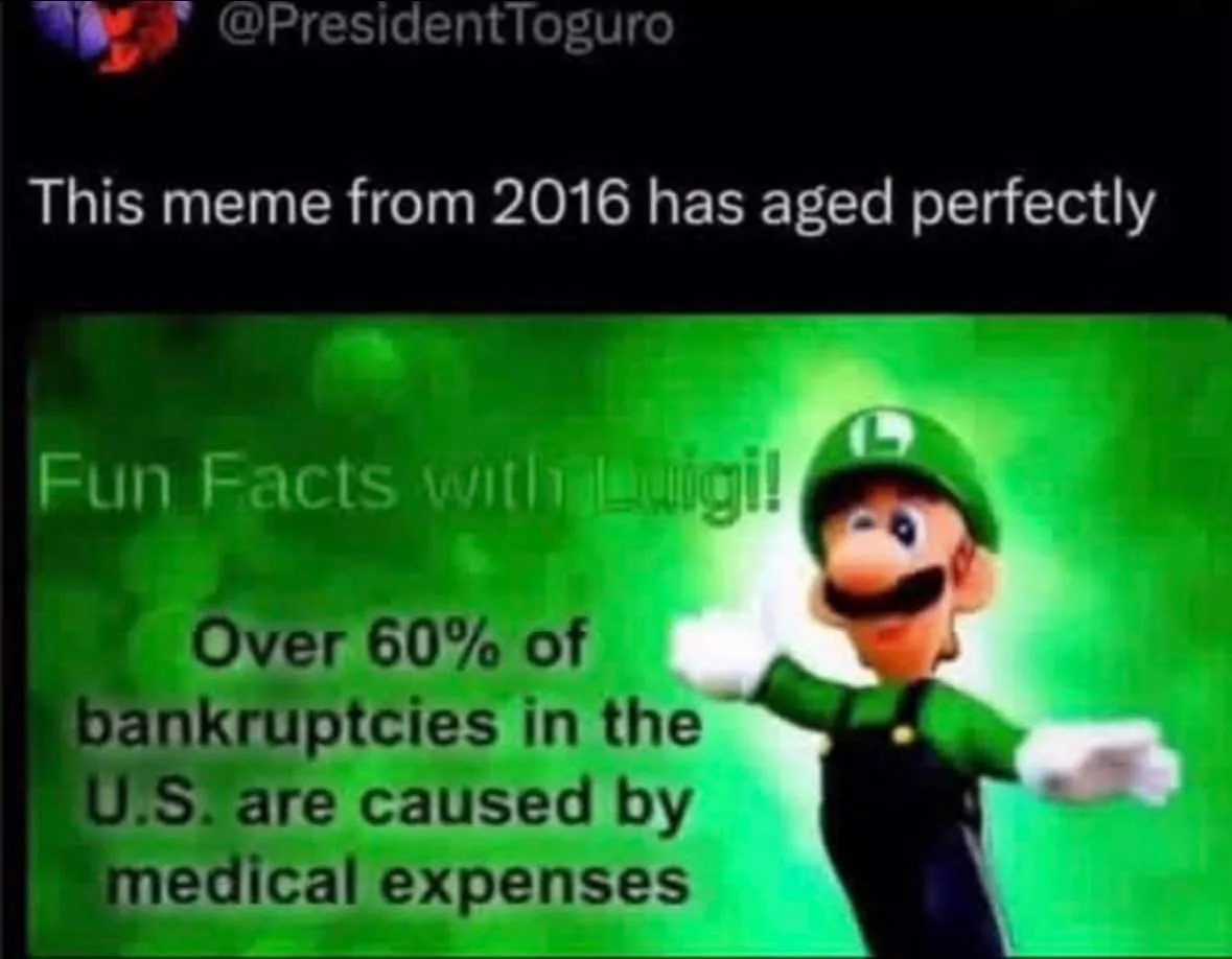 The image shows the video game character Luigi standing against a green background with text overlaid. The text reads 'Fun…