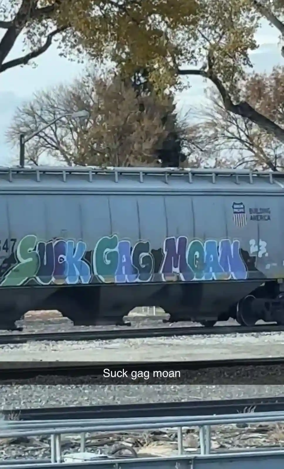 A gray freight train car with graffiti reading 'SUCK GAG MOAN' in colorful, stylized letters. The car has a 'Building…