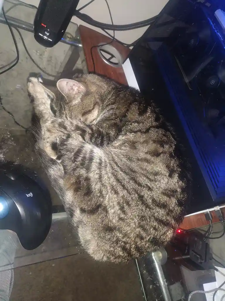 A tabby cat is curled up and sleeping soundly on a glass desk next to a Logitech mouse and a computer tower, with its paws…