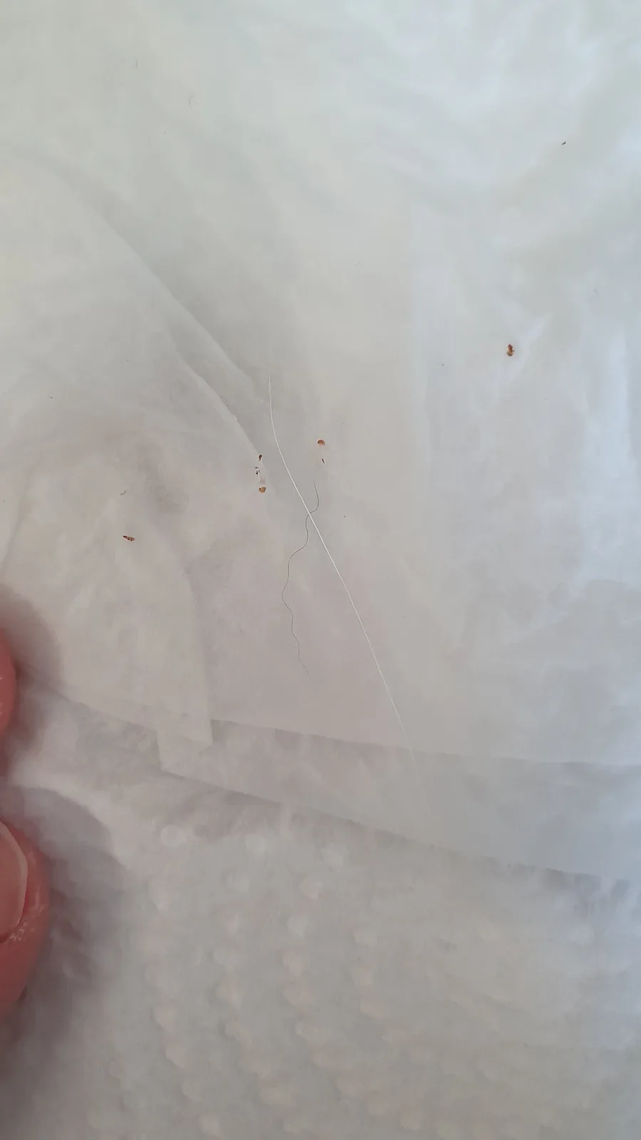 A close-up photo shows a white tissue with a single long hair and several small brown specks, likely dust or debris…