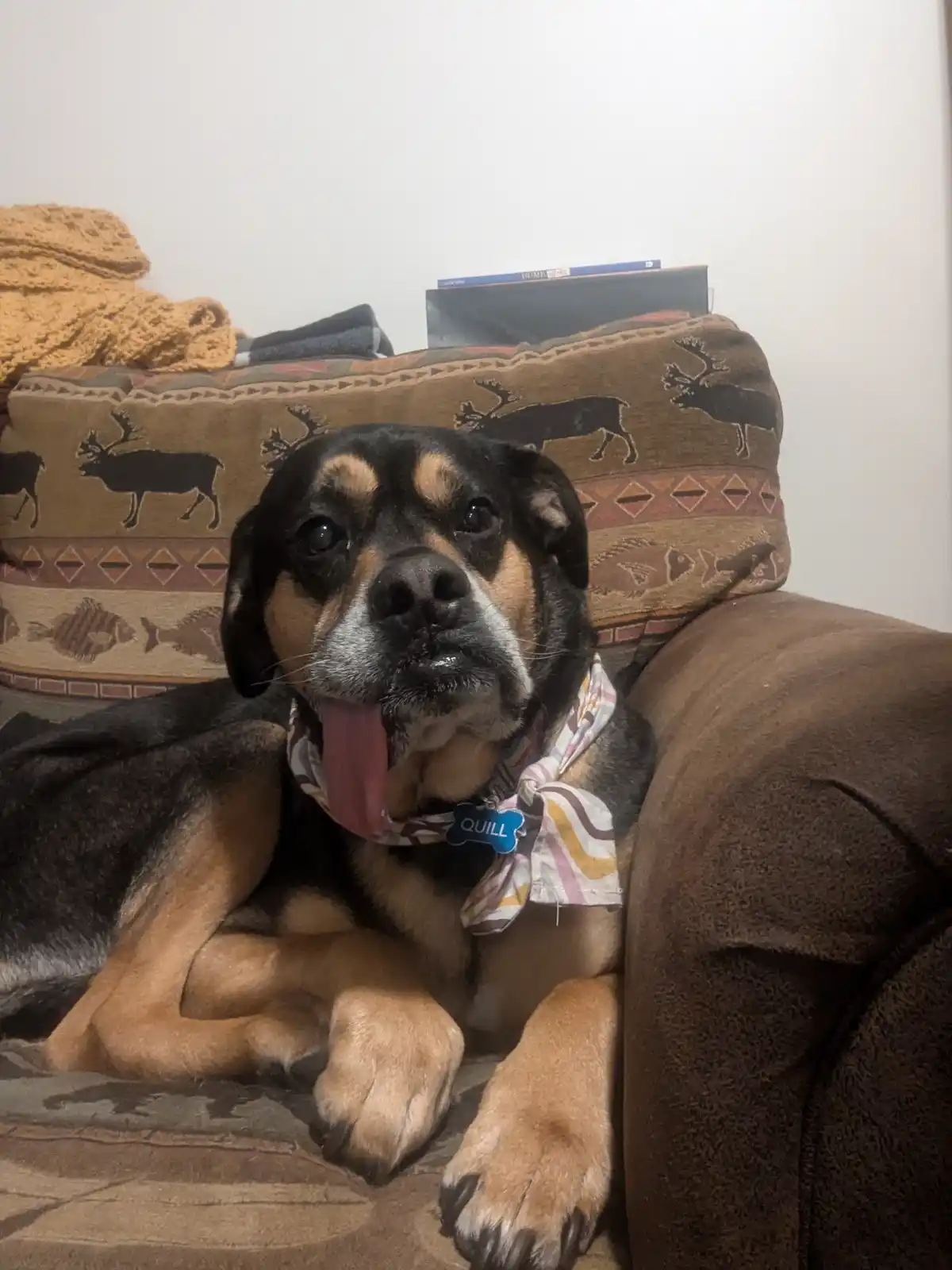Classic derp moment!