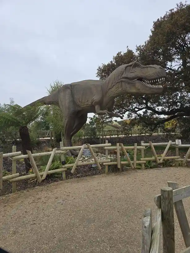 A large, realistic Tyrannosaurus rex statue stands behind a wooden fence in an outdoor park setting with trees and gravel…