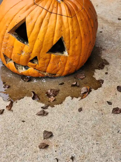 Farewell to Halloween: A Bittersweet Goodbye