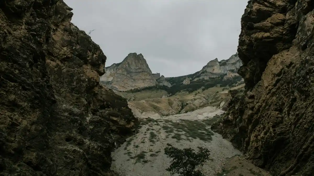 Towering cliffs plunge into the depths of a mist-shrouded canyon, their rugged grandeur softened by the wispy tendrils of…