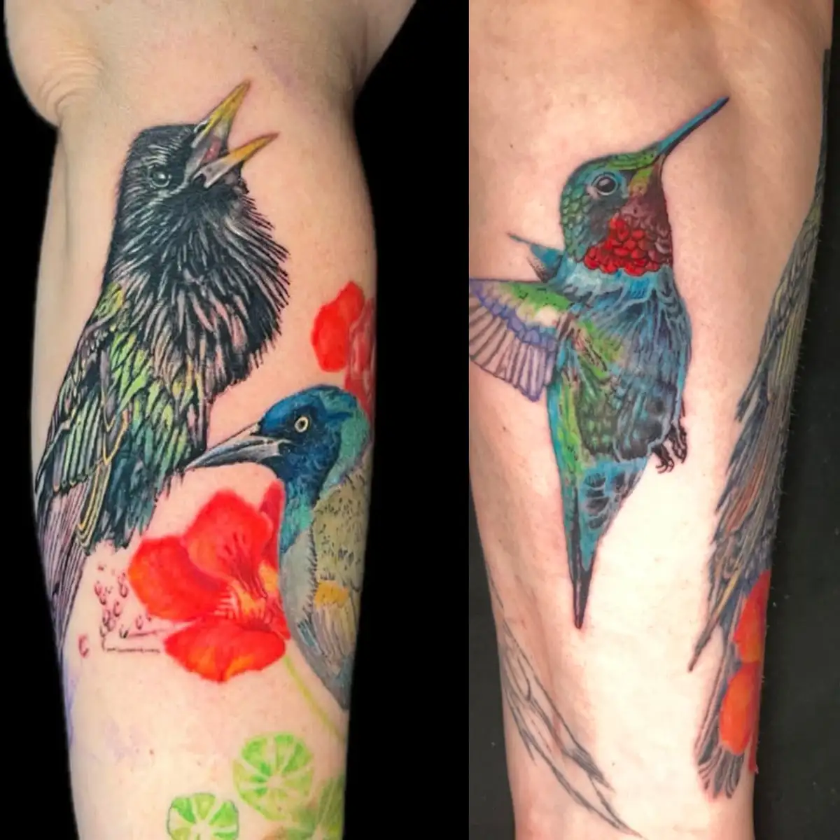 This side-by-side image shows a tattoo on a person's leg before and after. The 'before' image displays a black bird with a…