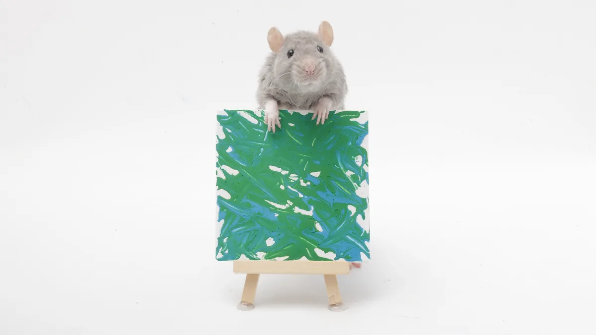 This week's adorable mini paw paintings by my sweet pet rats!