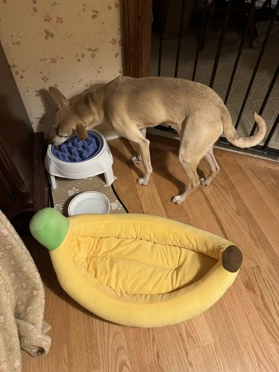 The iconic banana.