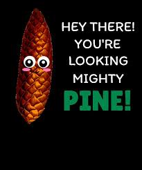 A cartoon pinecone with large googly eyes and a pink blush on its cheeks is set against a black background. The text reads…