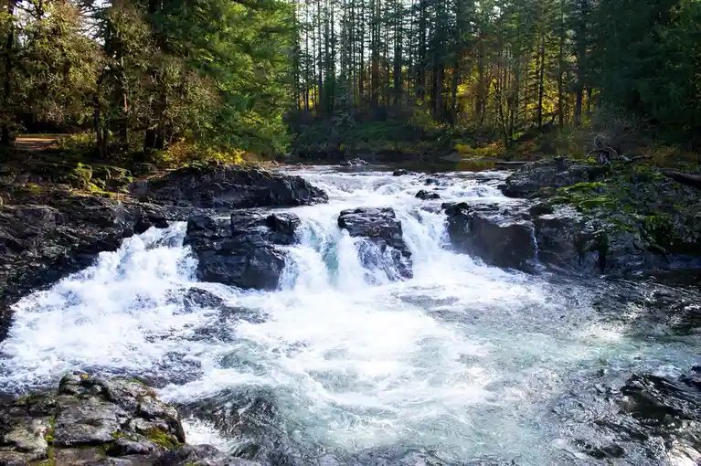 A scenic photo of a rushing river cascading over dark, moss-covered rocks in a dense forest with sunlight filtering through…