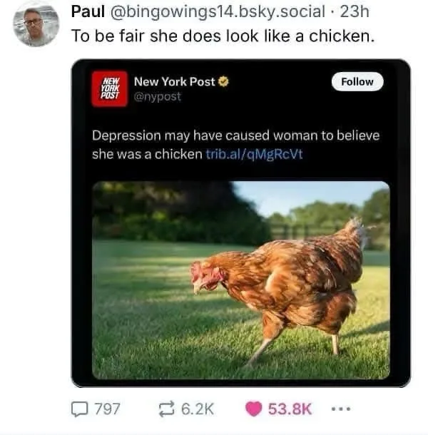 A screenshot of a tweet from the New York Post showing a photo of a brown chicken walking on grass, with the headline…