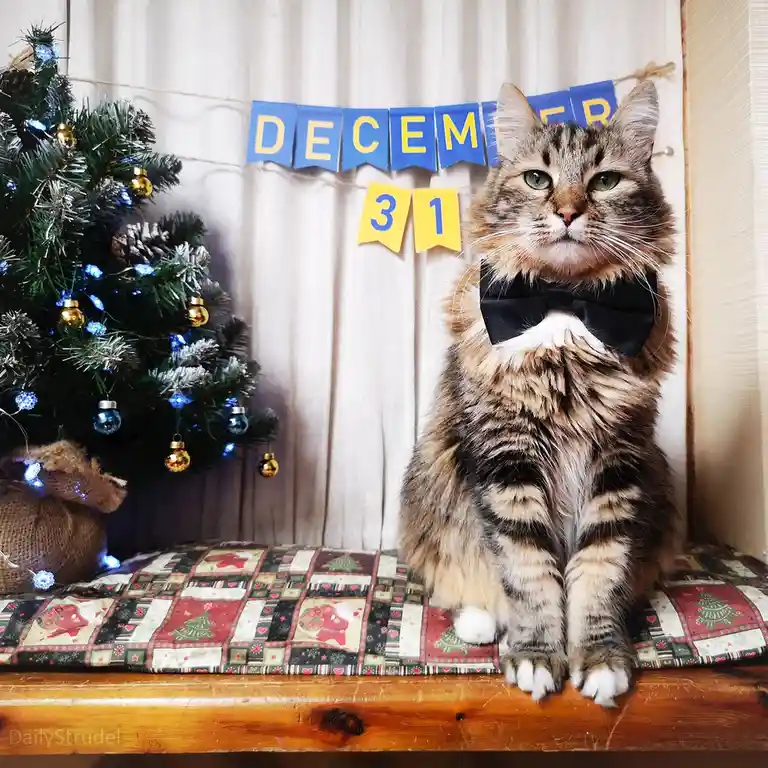 The Last Day of the Year: December 31