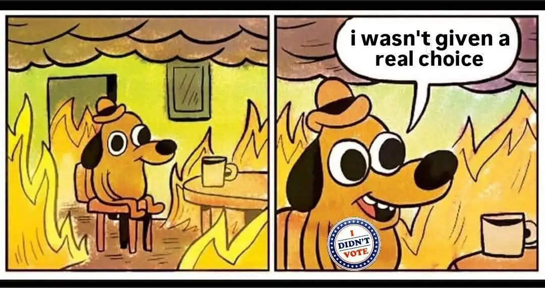 A two-panel cartoon shows a dog sitting calmly in a room engulfed in flames. In the first panel, the dog looks surprised. In…