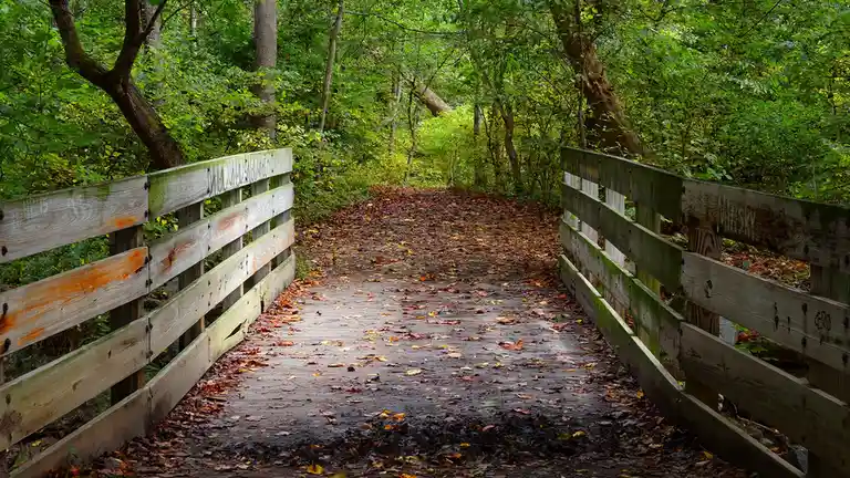 The bridge leading to a new beginning