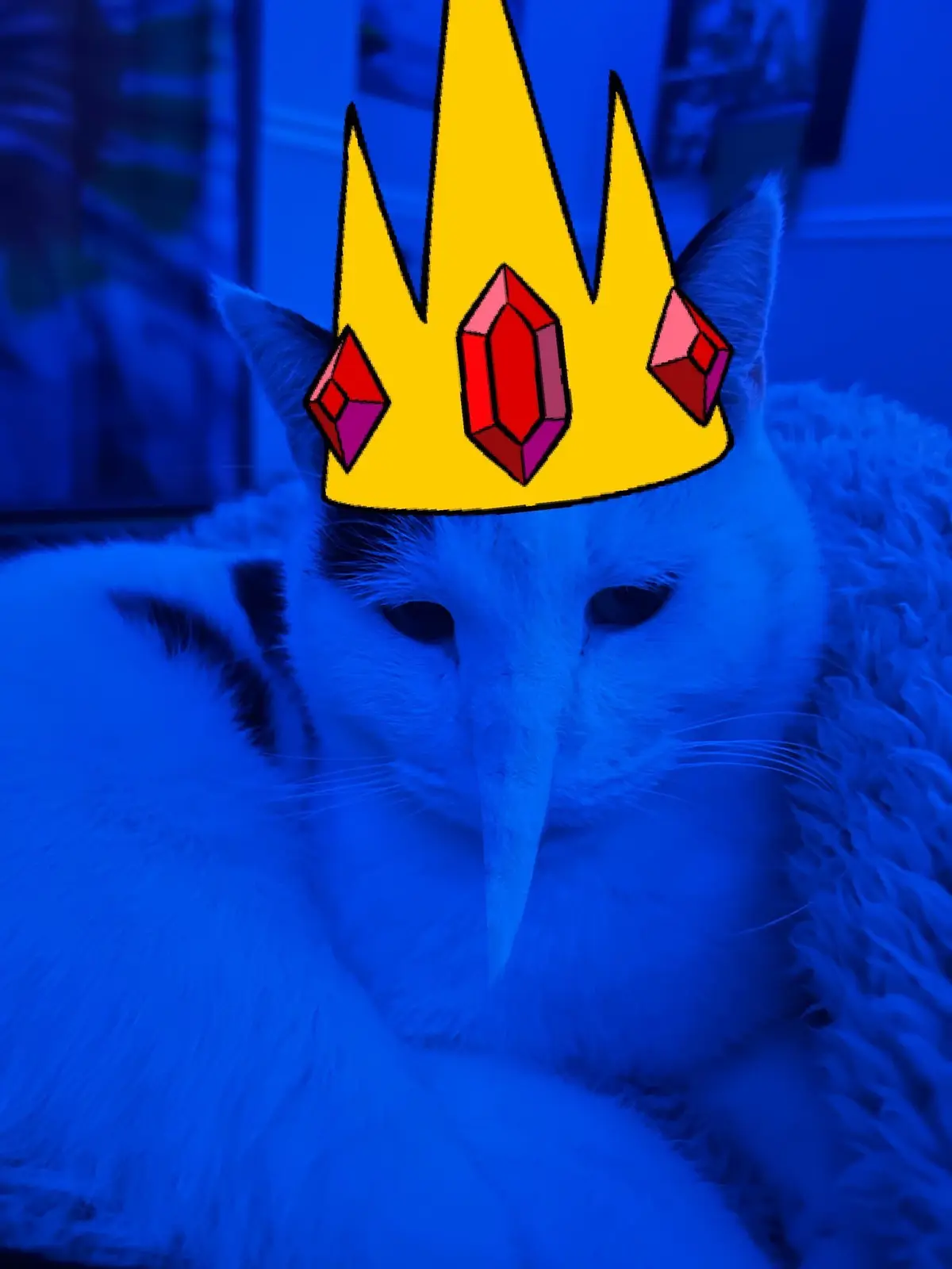 A white cat with black markings is photographed under blue lighting, wearing a digitally added yellow crown with red gems…