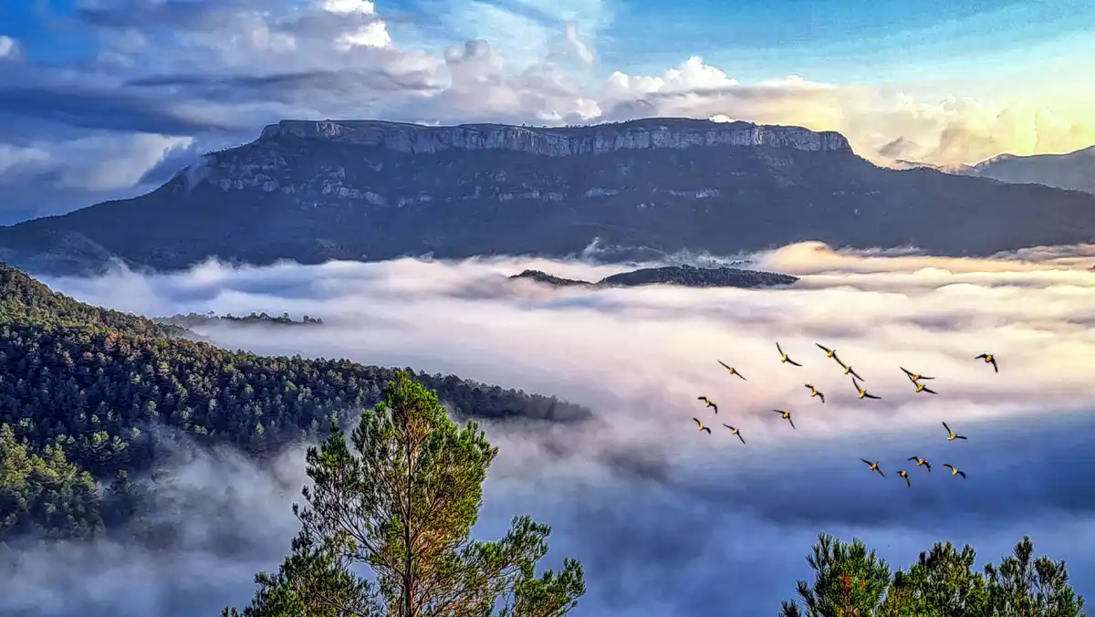 Stunning view of Pradell de la Teixeta with La Mola in the background - Priorat