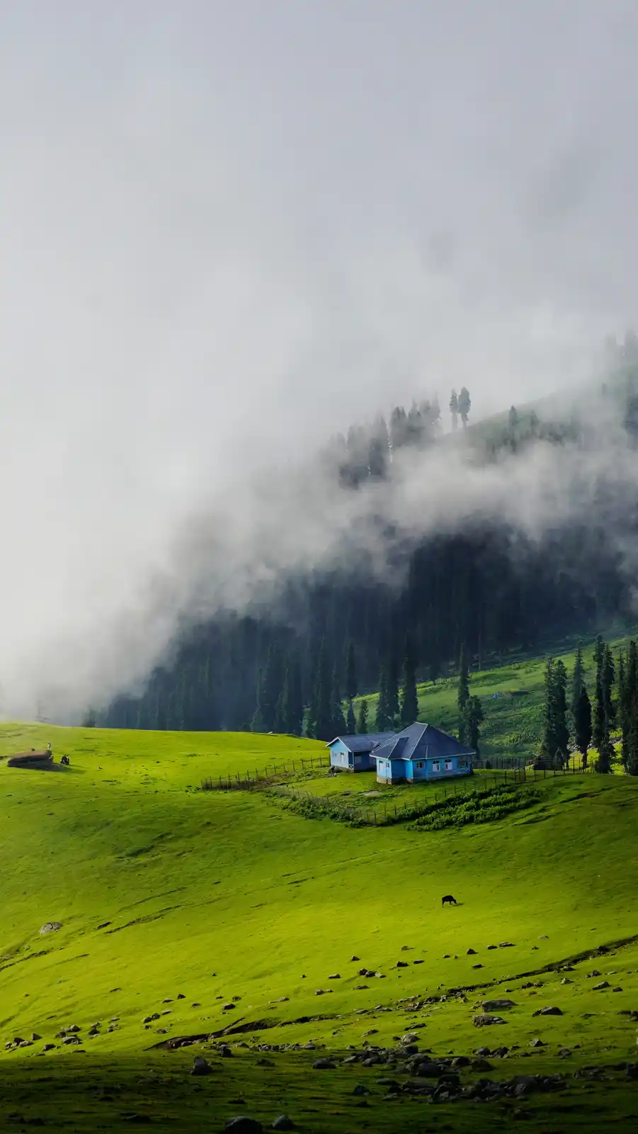 A serene landscape photo shows a bright blue wooden house on a lush green hillside, partially obscured by mist rolling over…