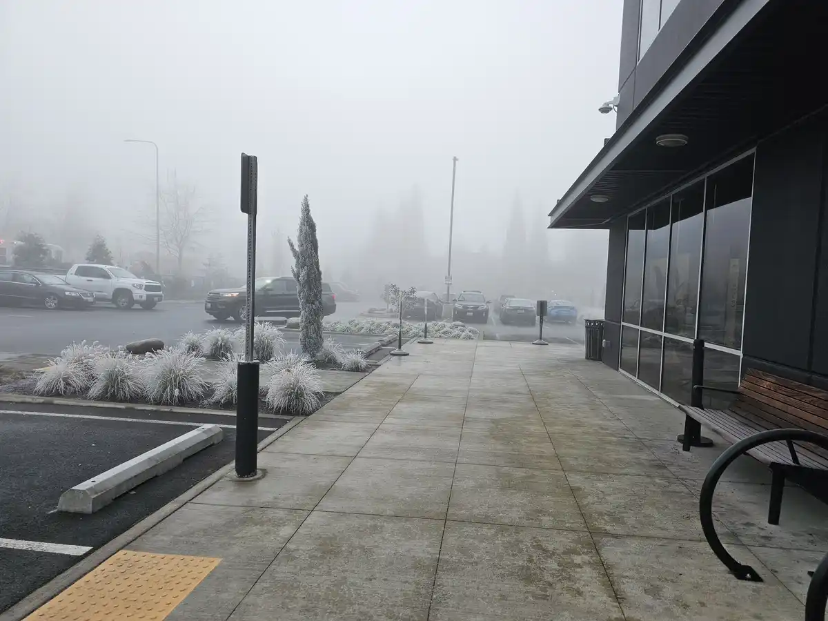 A foggy outdoor scene shows a sidewalk leading to a modern building with glass windows and a bench, with parked cars and…