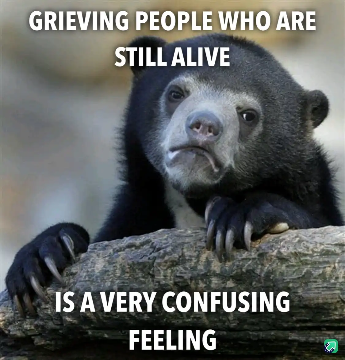 A close-up photo of a sad-looking spectacled bear resting its paws on a log, with white text overlaid that reads 'GRIEVING…