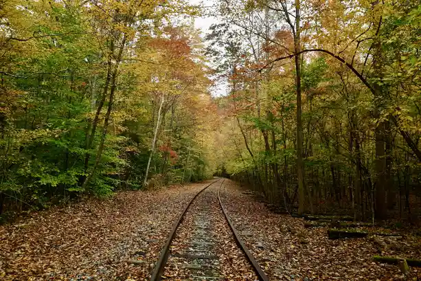 A scenic autumn forest with a railway track winding through it, surrounded by trees with yellow, orange, and green leaves…