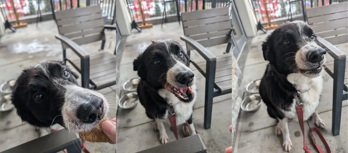 The Three Hilarious Stages of Enjoying a Delicious Treat