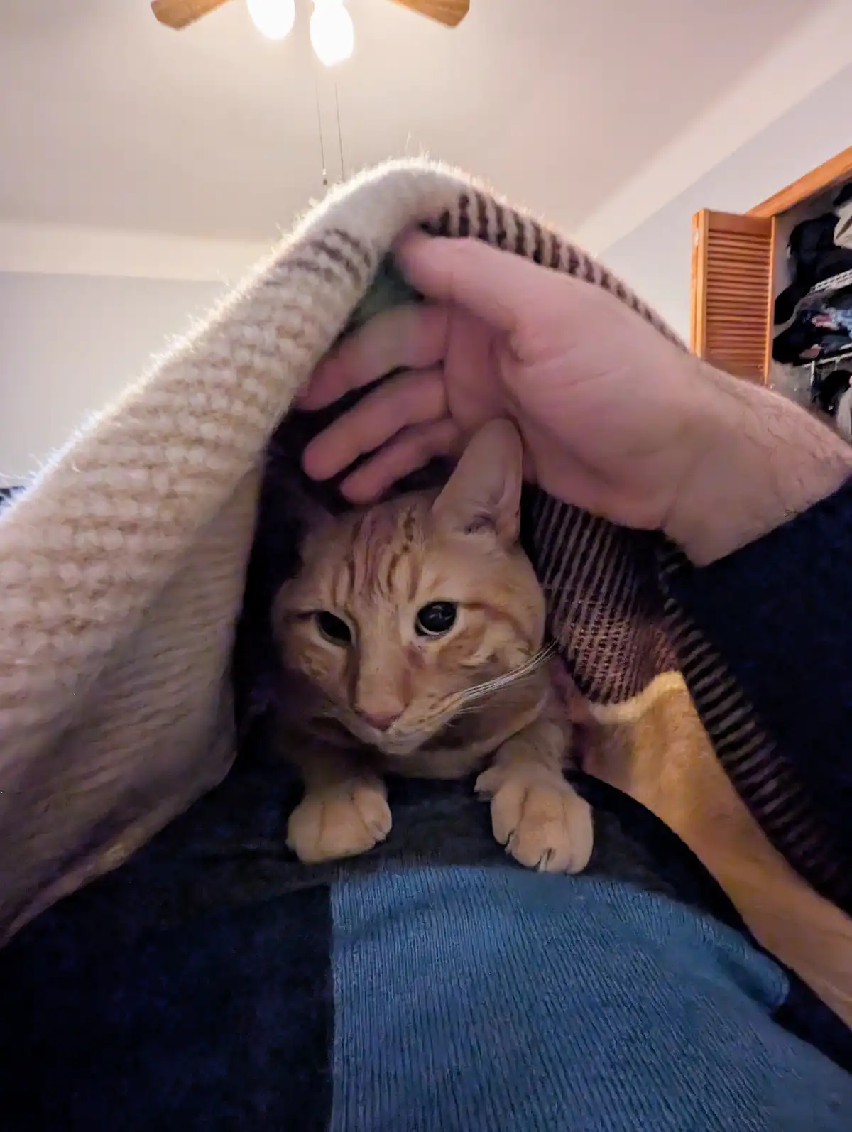 After three weeks apart, we're finally snuggling again!