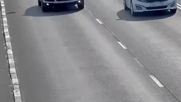 A Heartwarming Rescue Story
