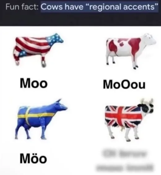 Mooing with Enthusiasm!