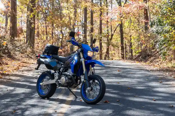 Prepare to Be Amazed by Carolina's Stunning Roads