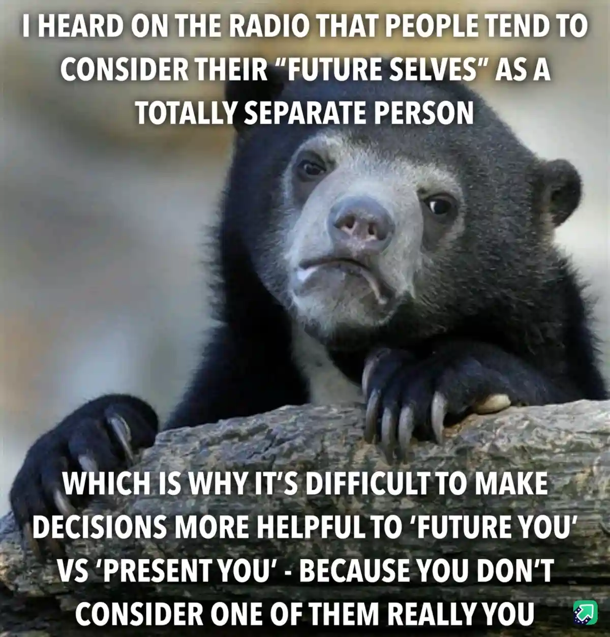 A close-up photo of a sad-looking spectacled bear resting its paws on a log, with white text overlaid in two blocks. The top…