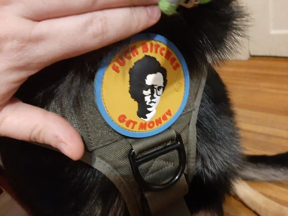 A close-up photo shows a hand holding a circular sticker on a dog's harness. The sticker features a stylized black-and-white…