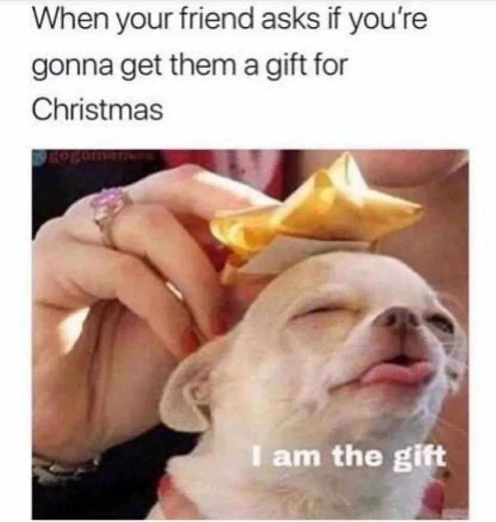 A white chihuahua with its eyes closed and tongue slightly out, looking blissfully content as a human hand places a golden…