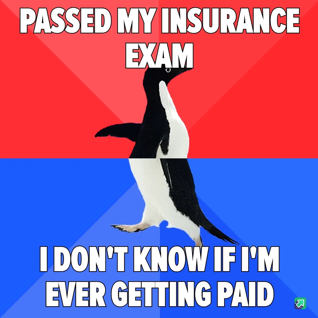 A penguin stands upright against a red and blue background, with bold white text at the top reading 'PASSED MY INSURANCE…