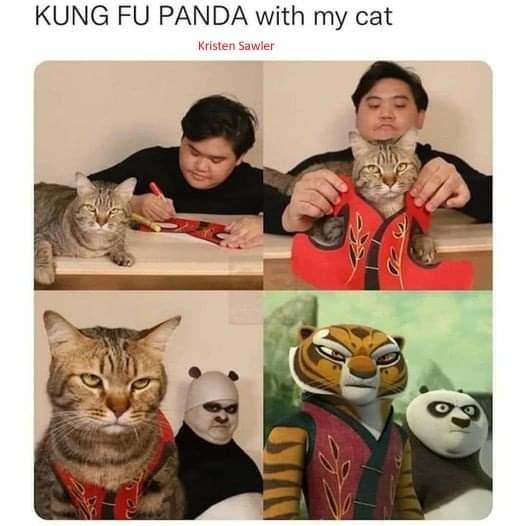 A four-panel image shows a man drawing a red martial arts outfit on a table next to his cat, then holding the cat in the…