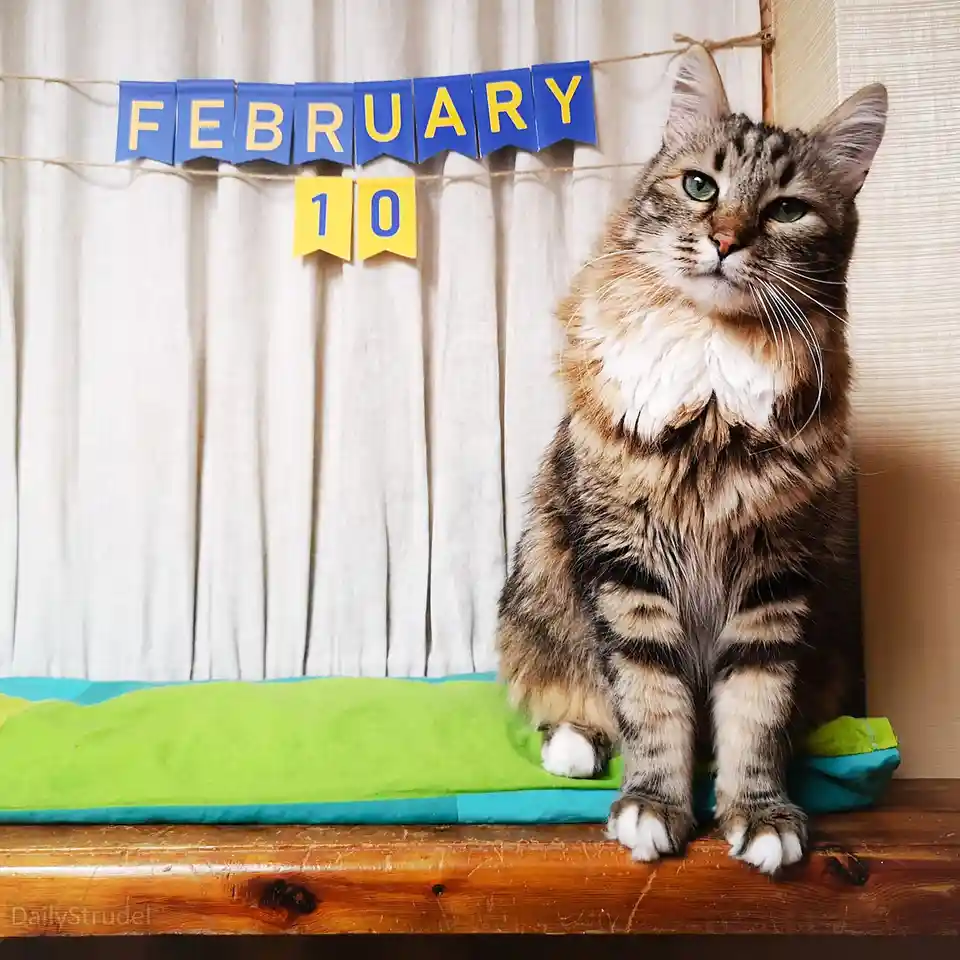 Mark Your Calendars for February 10