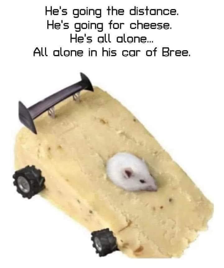 A small white mouse sits inside a wedge of yellow cheese that has been modified to look like a race car, complete with black…