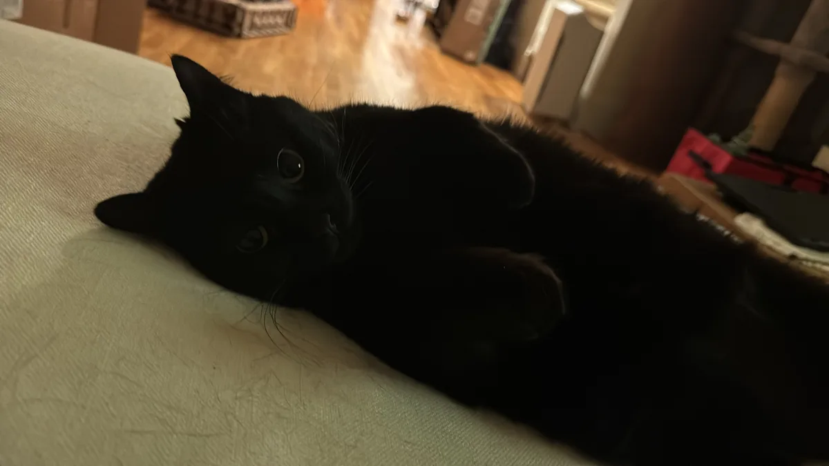 Adorable baby cuteness overload