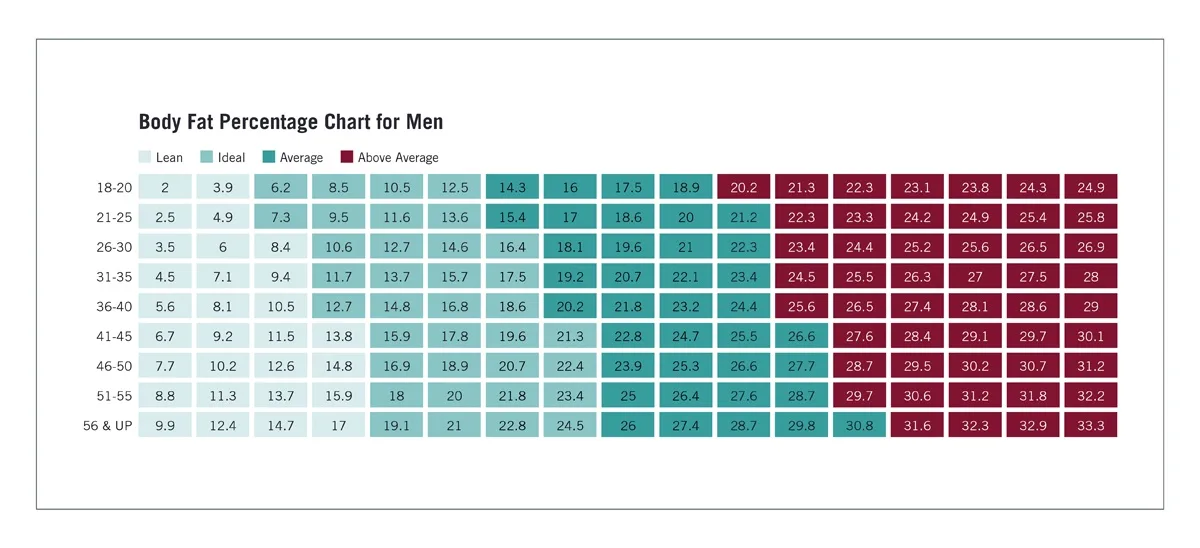 A chart titled 'Body Fat Percentage Chart for Men' displays numerical values in a grid organized by age groups (18-20 to 56…
