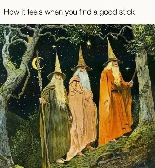 Three wizards in pointed hats and robes stand in a starry forest at night, each holding a staff. The overlaid text reads…