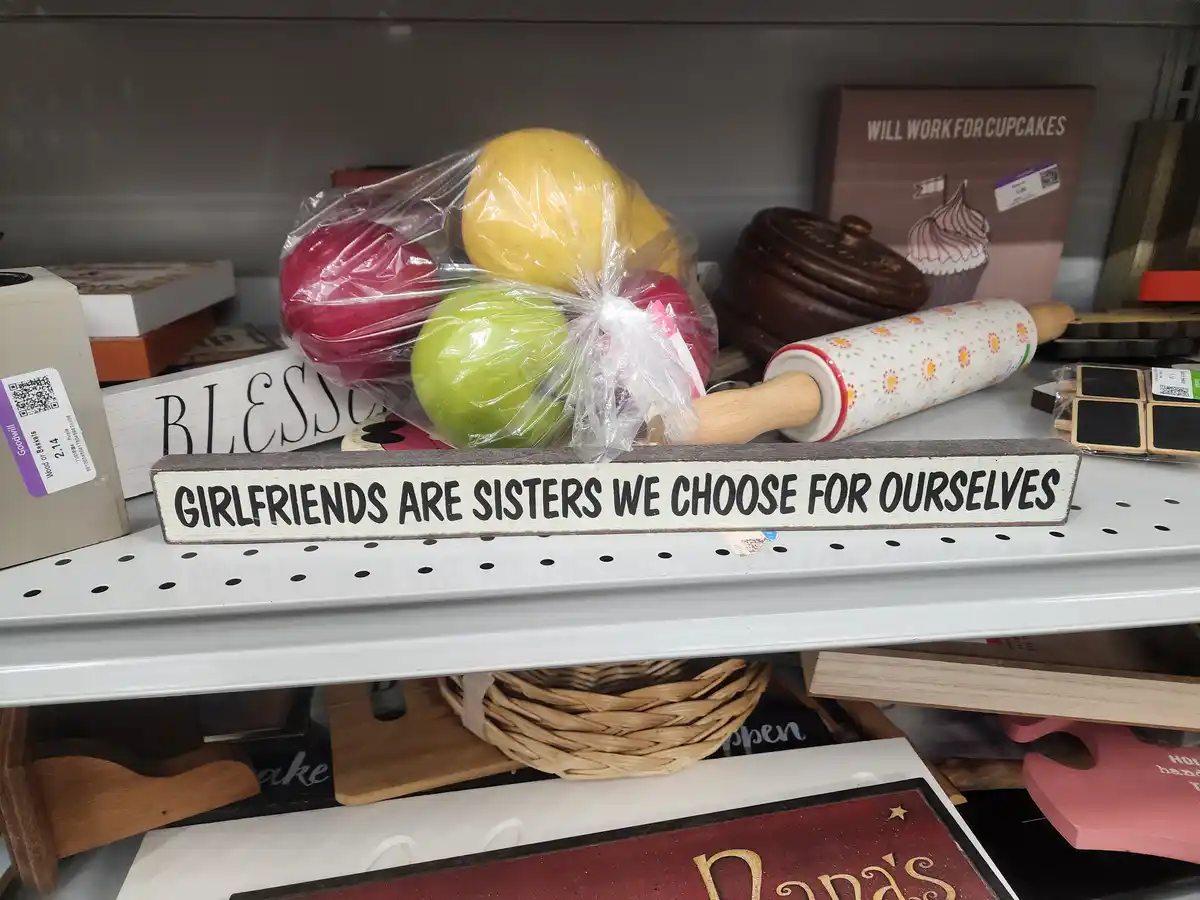 A white wooden sign with black text reading 'GIRLFRIENDS ARE SISTERS WE CHOOSE FOR OURSELVES' sits on a store shelf…