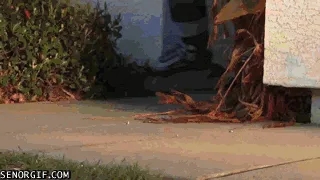 A six-panel meme sequence shows a man in a driveway being attacked by a woman in a blue outfit resembling Kitana from Mortal…